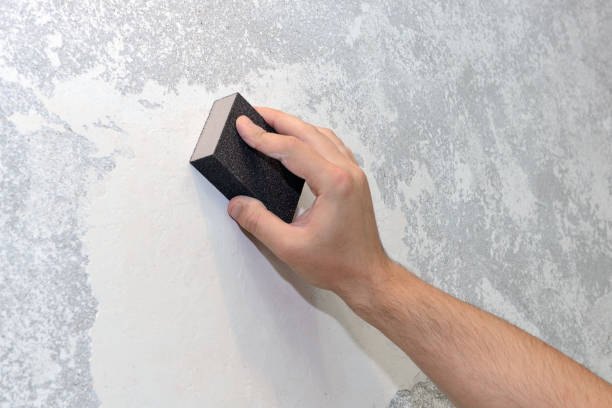 Best Airborne Mold Testing  in Orland Park, IL
