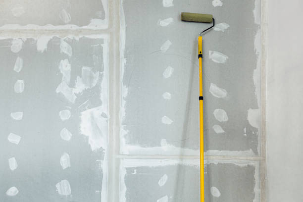 Best Mold Documentation for Insurance Claims  in Orland Park, IL