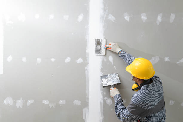 Best Post-Remediation Verification Testing  in Orland Park, IL