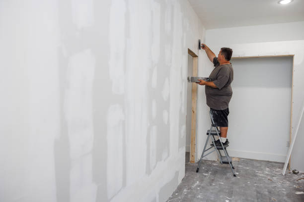 Best Post-Remediation Verification Testing  in Orland Park, IL