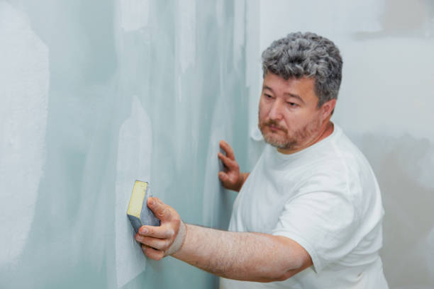 Best Water Damage & Mold Remediation  in Orland Park, IL