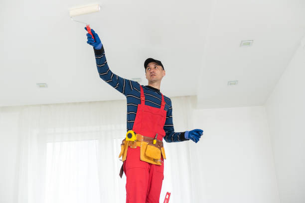 Best Biohazard Mold Removal  in Orland Park, IL