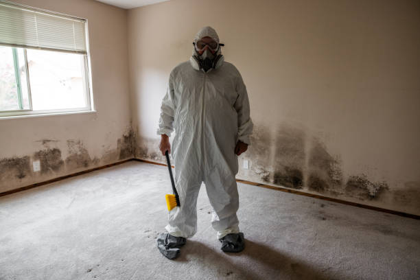 Best Residential Mold Inspection & Testing  in Orland Park, IL