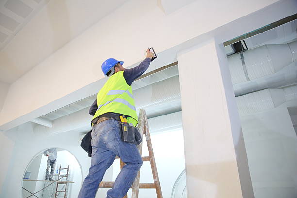 Mold Remediation for Rental Properties in Orland Park, IL