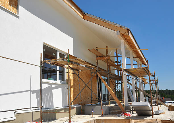 Best Industrial Mold Remediation  in Orland Park, IL