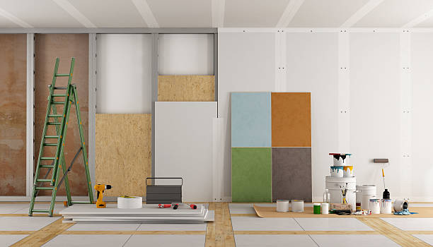 Orland Park, IL Mold Removal Company